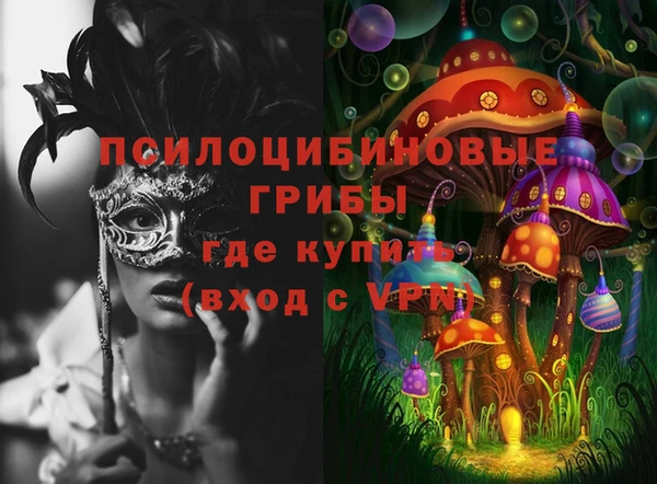 дживик Нязепетровск