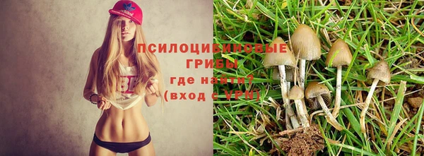 дживик Нязепетровск