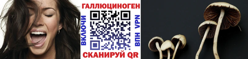 Галлюциногенные грибы MAGIC MUSHROOMS Навашино